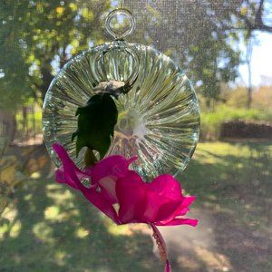 (2) Glass hanging planter rooter